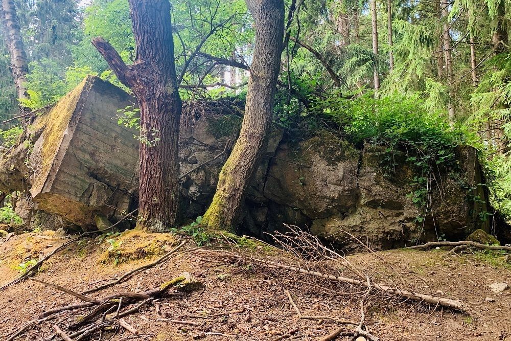 Pillbox No. 106 on Ochsenkopf #2