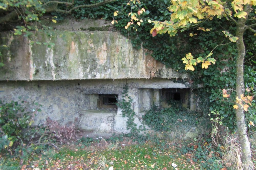 Maginotlinie - Blockhaus A1 Trois Rois #5