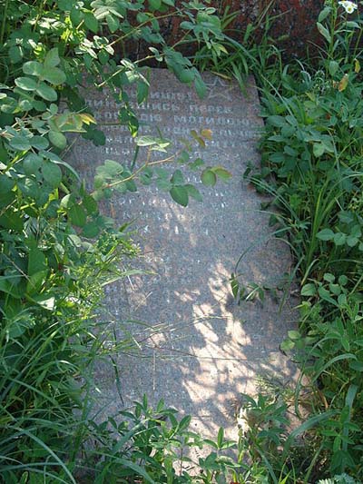 Mass Grave Soviet Soldiers Mykolaivka #3
