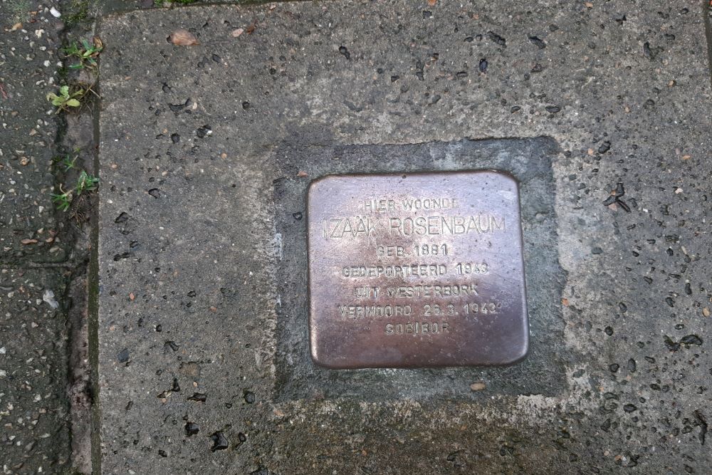 Stolpersteine Alexanderstraat 31 #2