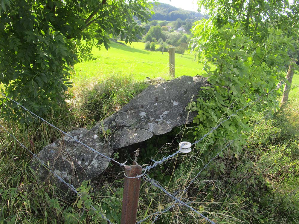 Westwall - Remains Bunker #2