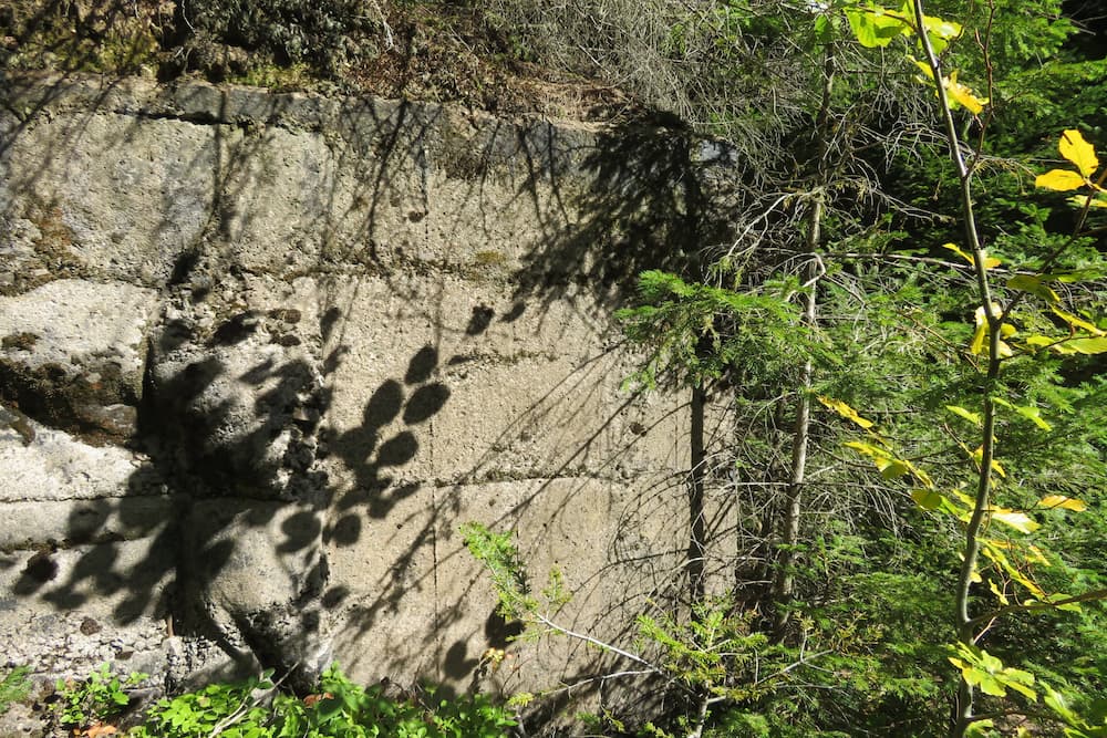 Geschutsbunkers Col du Donon #2