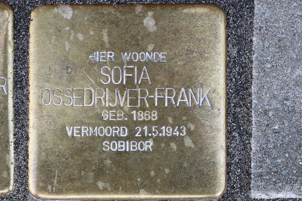 Stolpersteine Koninginnelaan 25 #3