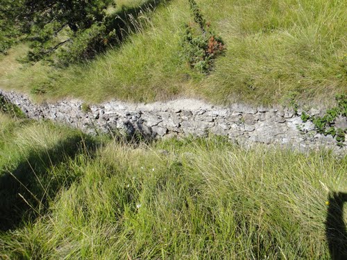 Alpine Wall - Trench Lipa #3
