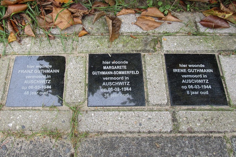 Memorial Stones Anthonie van Dijckstraat 2 #1