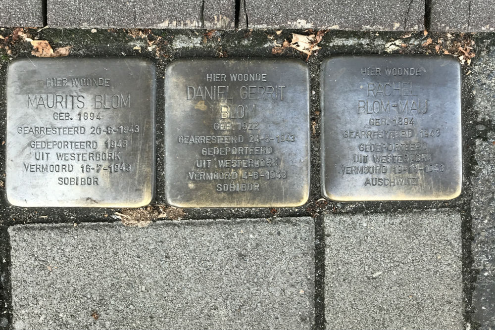 Stolpersteine Rijnstraat 58 huis