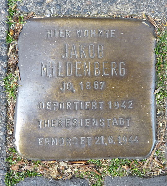 Stumbling Stones Frie-Vendt Straße 18 #1