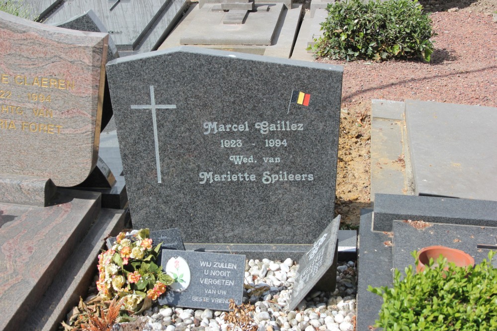 Belgian Graves Veterans Kwaremont #3