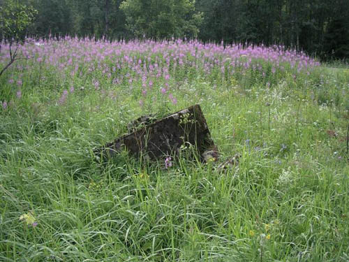 Stalin Line - Exploded Pillbox Elizavetinka