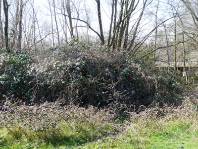 Group Shelter Type P Griftenstein