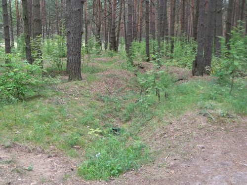 German Trenches Svetlogorsk