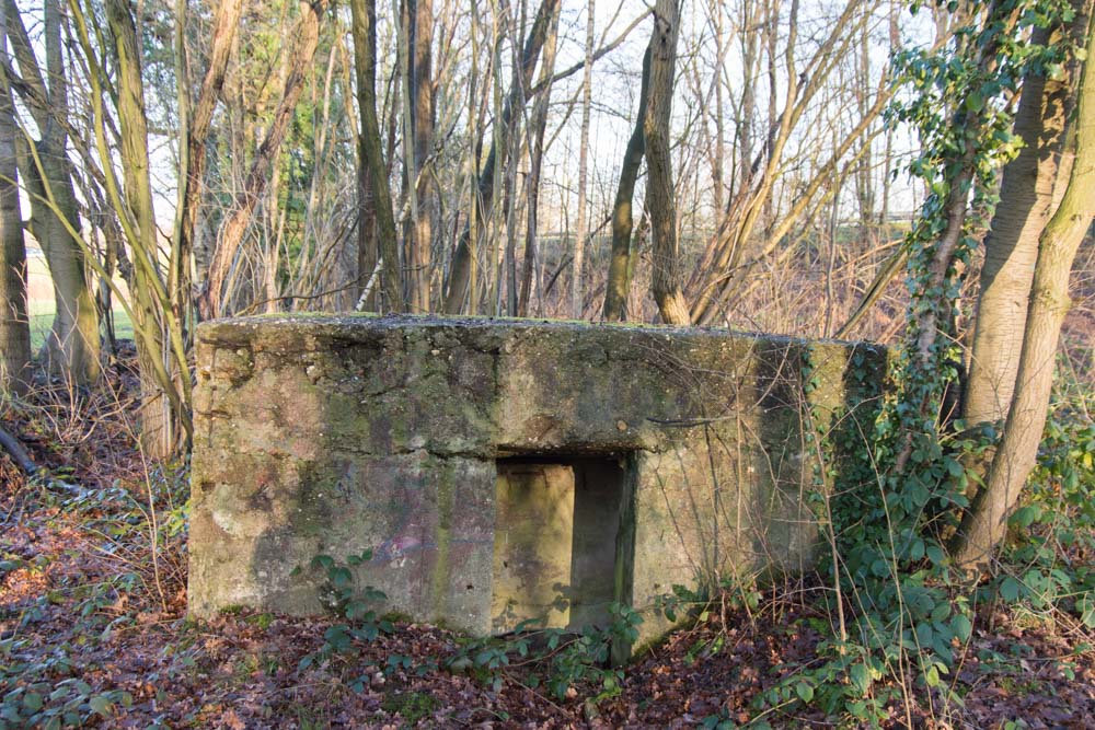 German Bunkers Stellung Antwerp-Turnhout Wieltjes Turnhout #3