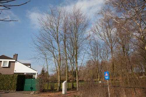 Jewish Memorial Nieuwenhagen #1