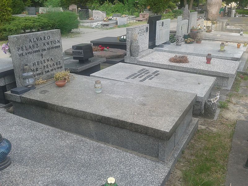 Cmentarz Wojskowy #2