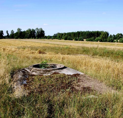 Rawka-Bzura-Stellung - Ringstand 58c Sierzchow (B)