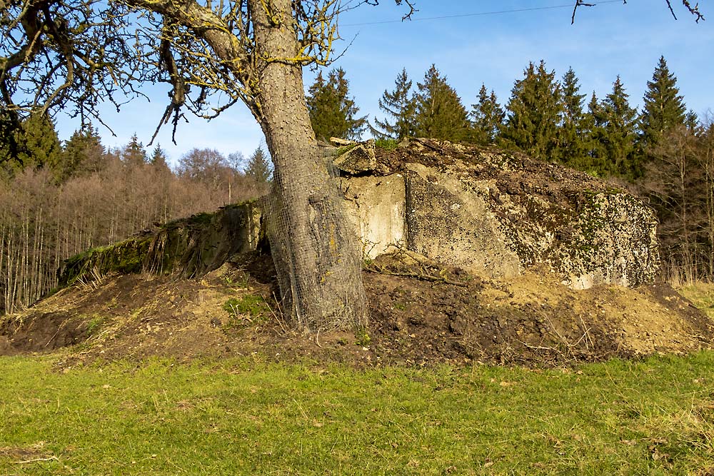 Westwall Bunker Remains #2
