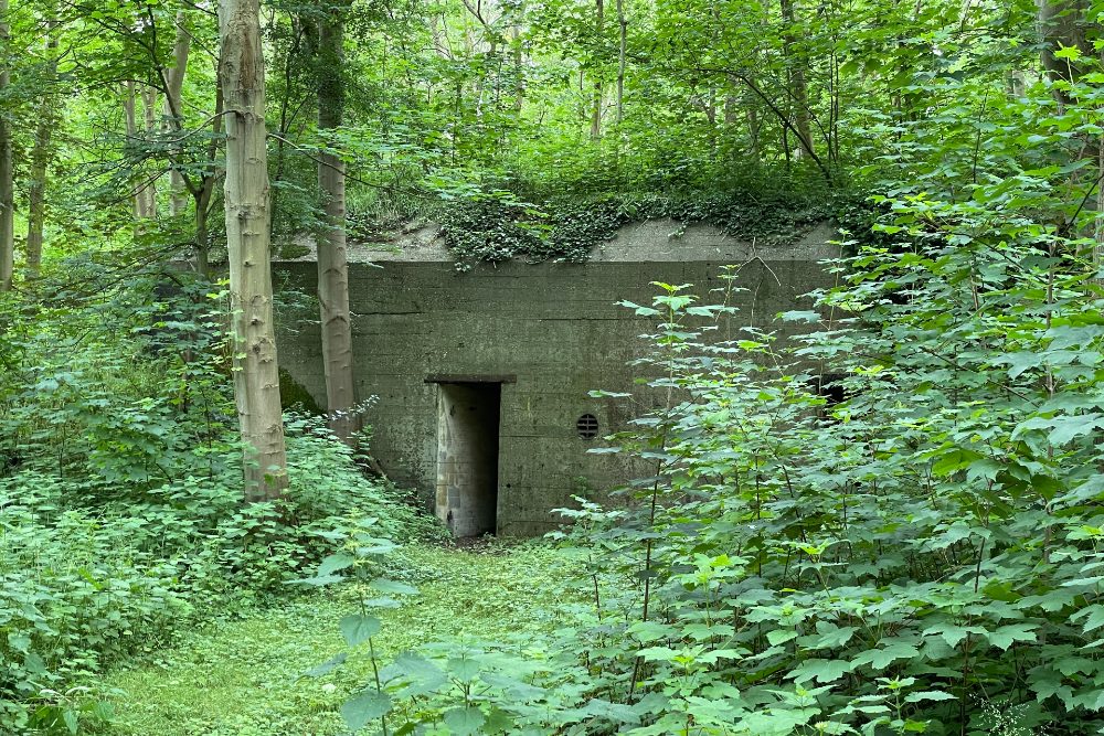 Bunkers Slotbos Haamstede #2