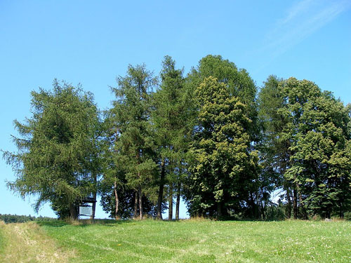 Austrian-Russian War Cemetery Zborov #1