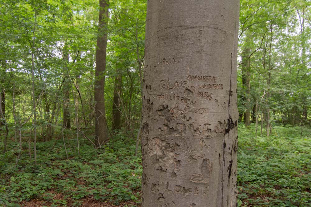 Information board Observation post Kempisch Legion #3