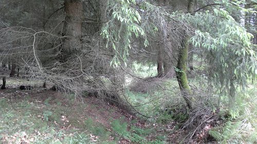Festung Schneidemühl - Trench #1