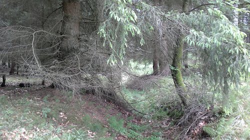 Festung Schneidemhl - Trench