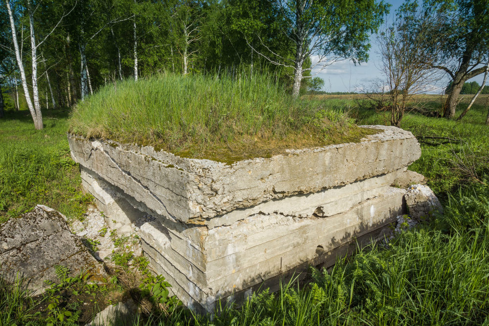Destroyed Pillbox Merkulievo #3