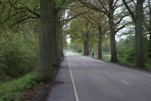 Dutch Road Barriers #3