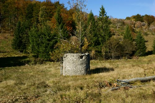 Alpenmuur - Mitrailleursnest Trstenik (C) #1