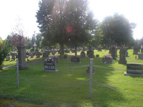 Oorlogsgraven van het Gemenebest St. Thomas Cemetery #1