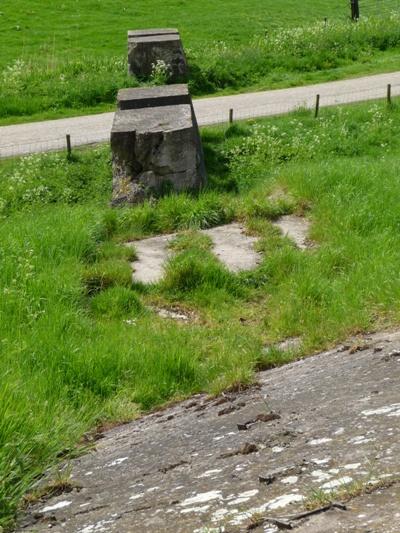 Tank Barrier Lage Zwaluwe #4