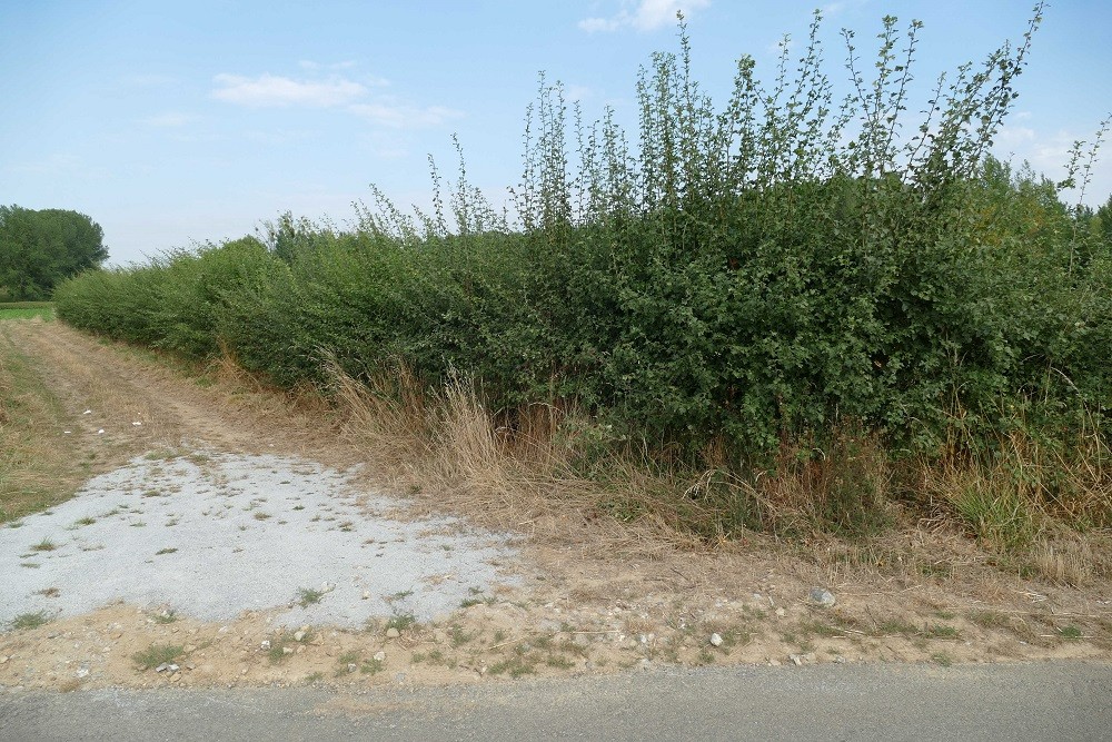 Former German War Cemetery Overrepen #4