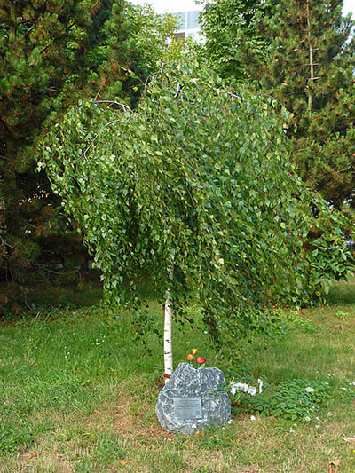 Memorial Stone Nikolai Berzarin #2