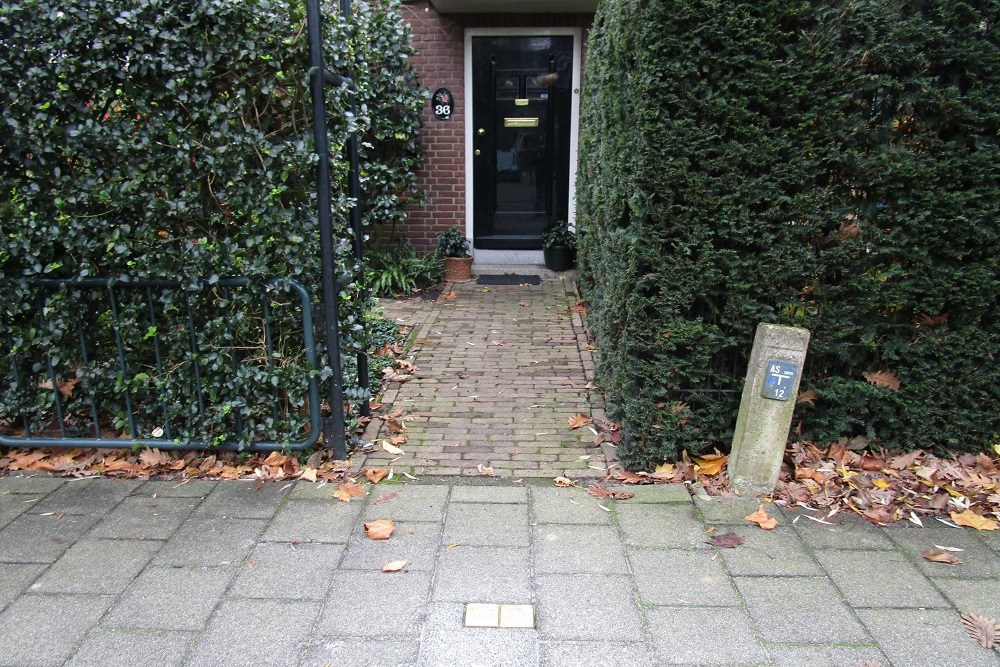 Stolpersteine Maarten Dijkshoonlaan 36 #3