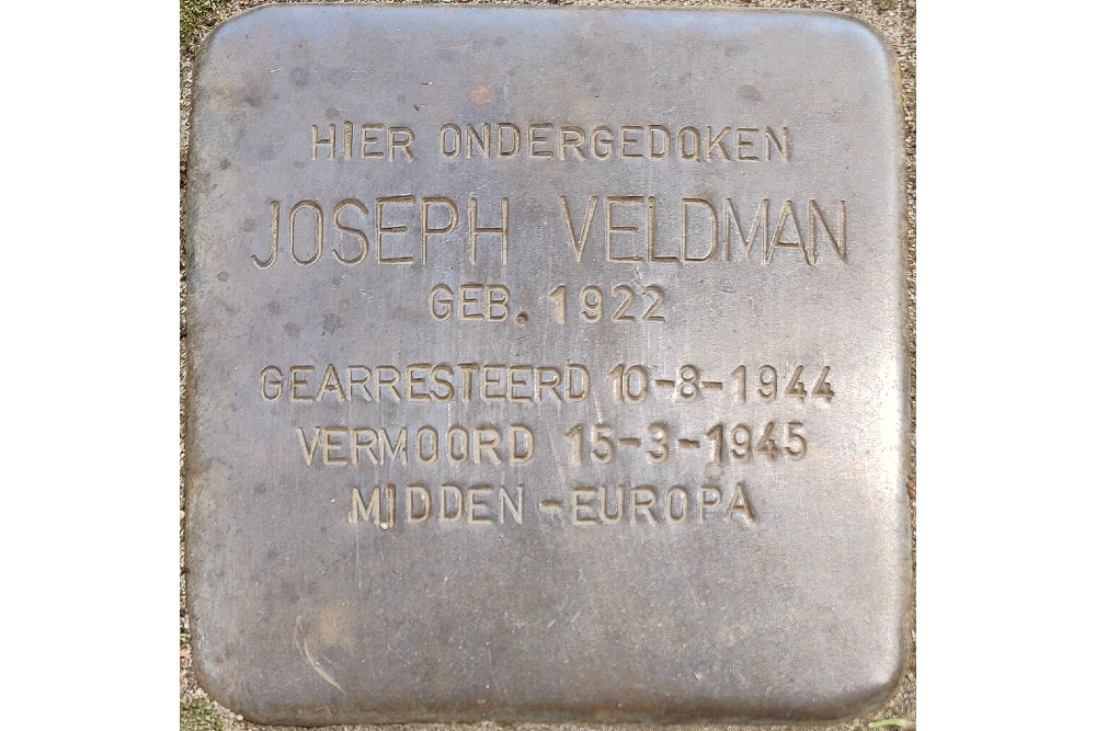 Stolperstein Lottumseweg 72