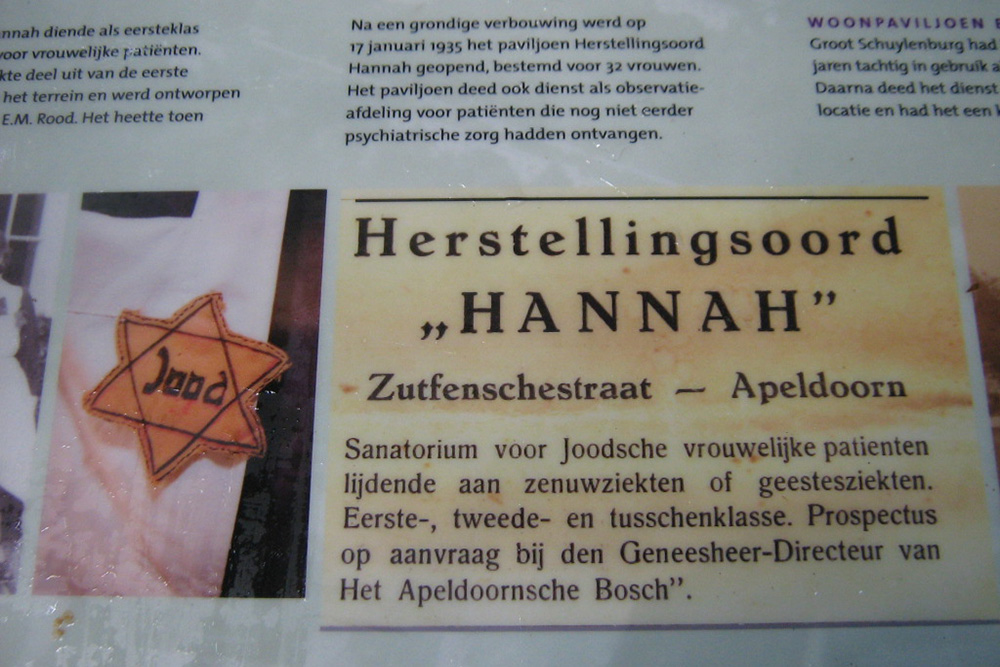 Former Jewish Psychiatric Institution 'Het Apeldoornsche Bosch' #3