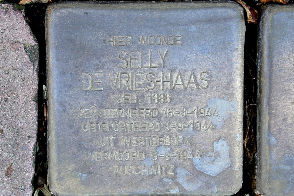 Stolpersteine Bosweg 36 #2