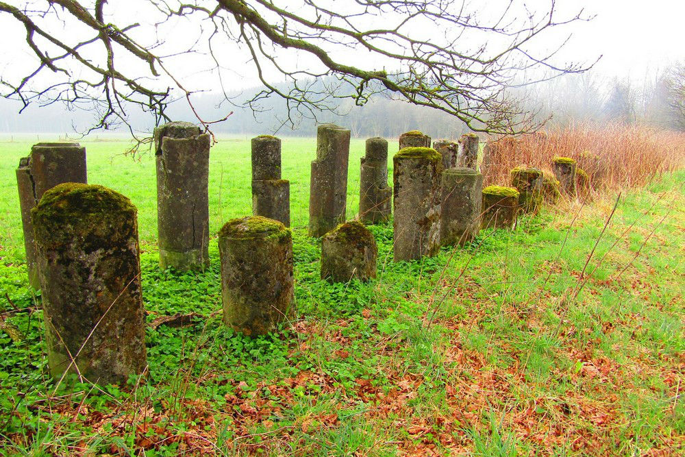 Anti-tank Line Bovigny #5