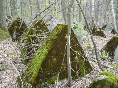 Westwall - Tank Barrier Sinziger Weg #3