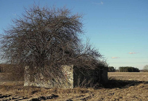 German Munition Bunker #1