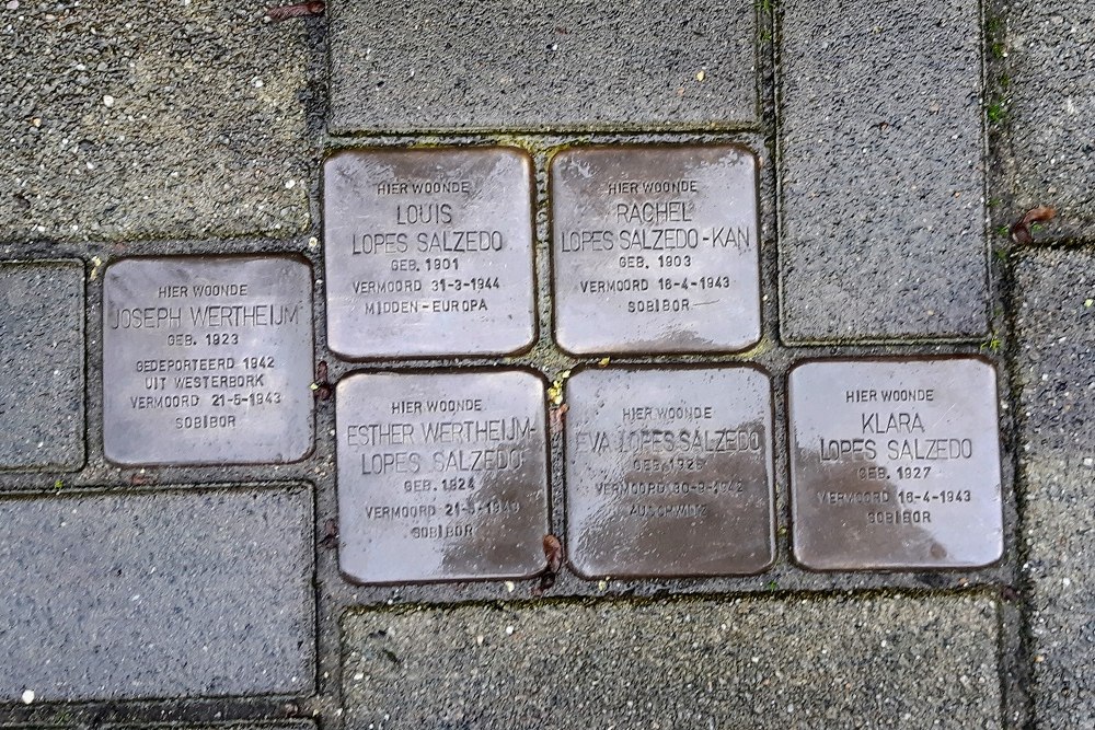 Stolpersteine Danie Theronstraat 21 #1