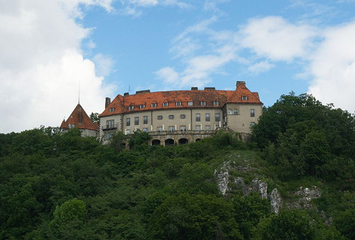 Castle Przegorzaly #1