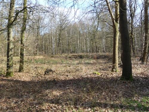 Bomb Crater Soesterberg Airforce Base