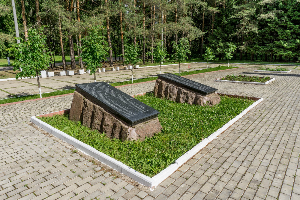 Monument & Oorlogsbegraafplaats Letse 201e Infanteriedivisie #4