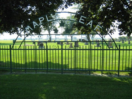 Commonwealth War Grave Maple Leaf Cemetery