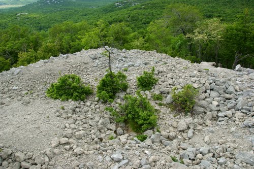 Rupnik Line - Bunker Kamenjak #2