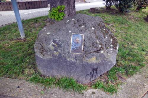 Oversteek Rijn #2