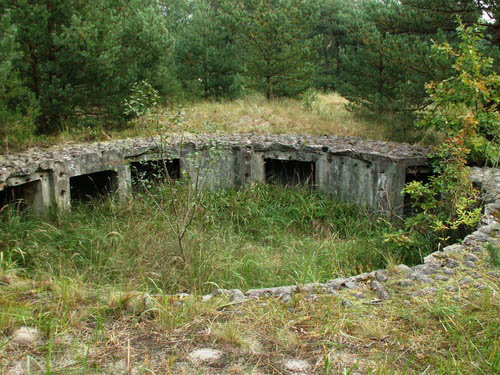 German Heavy Coastal Battery 