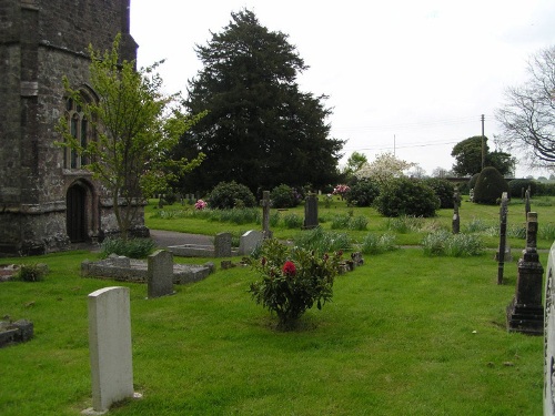 Oorlogsgraven van het Gemenebest St Michael Churchyard #1