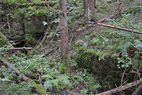 German Defence Position Buchenkopf #3