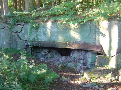 Westwall - Bunker Nr. 59 Simonskall #4